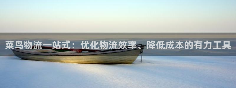 多多28头像：菜鸟物流一站式：优化物
