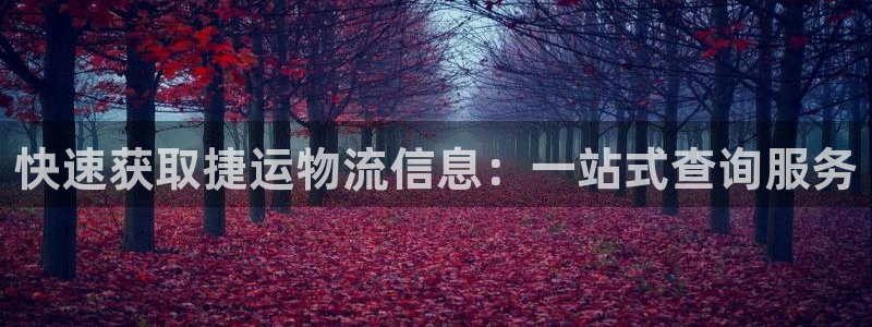 多多28网赌有什么风险：快速获取捷运