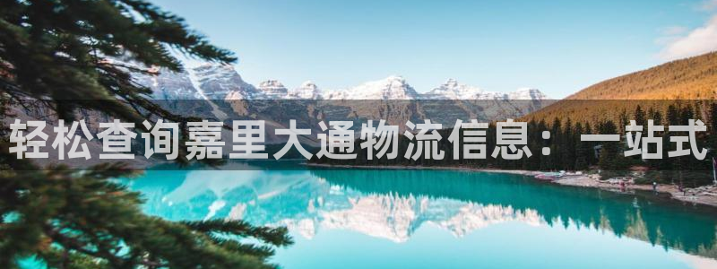 多多28怎么下载：轻松查询嘉里大通物