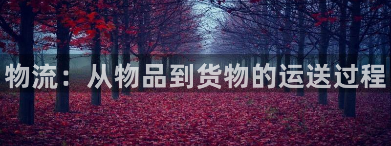 多多28合法吗：物流：从物品到货物的