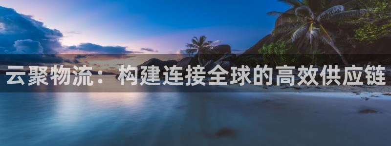 多多28反水：云聚物流：构建连接全球