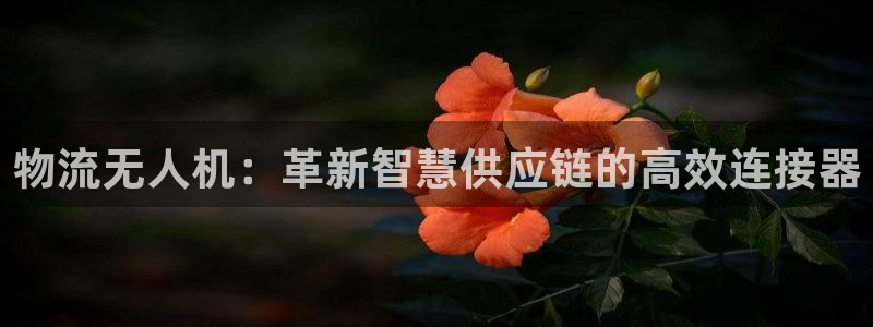 多多28h5链接