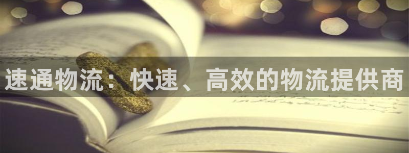 多多28官方网站：速通物流：快速、高