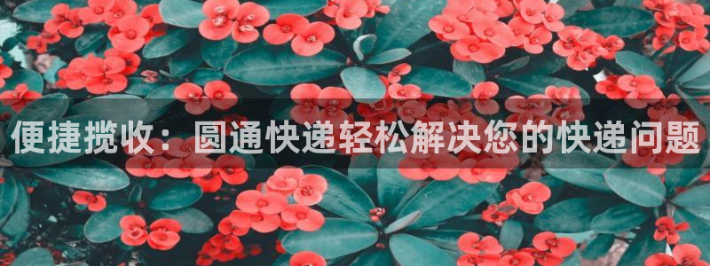 多多28官网版下载：便捷揽收：圆通快