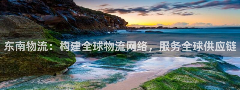 多多28娱乐官网网页入口：东南物流：
