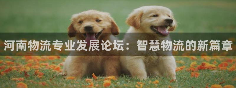 多多28南宫娱乐官网：河南物流专业发