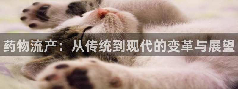 多多28注册号：药物流产：从传统到现