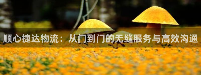 多多28怎么下载不了：顺心捷达物流：