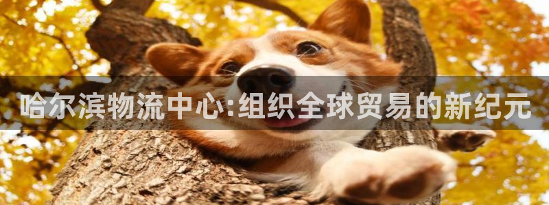 多多28官网版所有版本：哈尔滨物流中