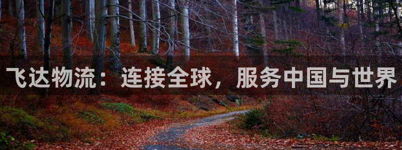 多多28登录流程：飞达物流：连接全球
