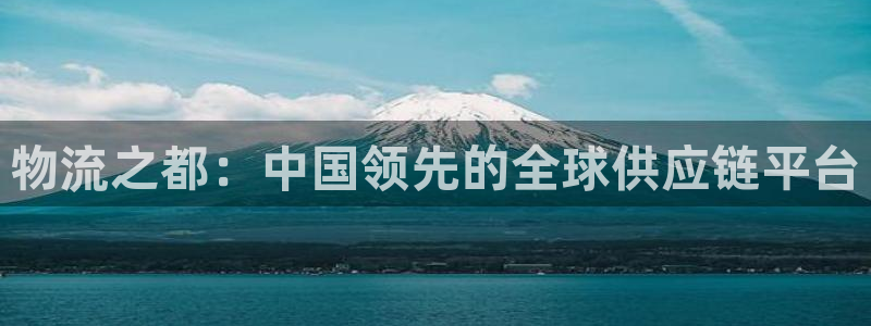 多多28账号注册：物流之都：中国领先