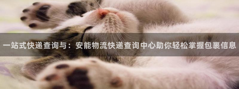 多多28加拿大：一站式快递查询与：安