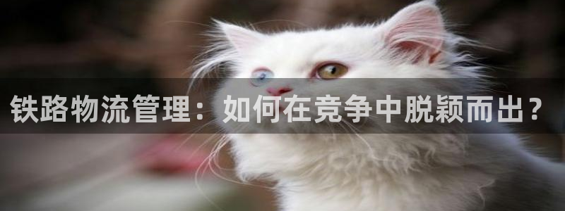 多多28注册：铁路物流管理：如何在竞