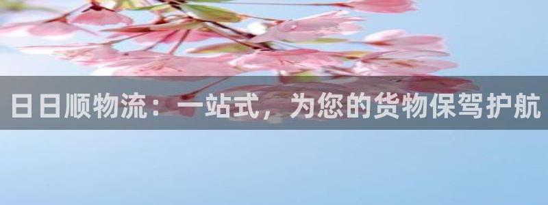 多多28现在狂杀：日日顺物流：一站式