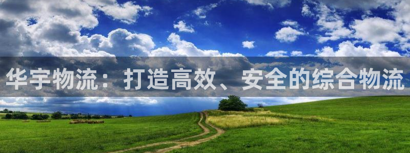 多多28链接多少：华宇物流：打造高效