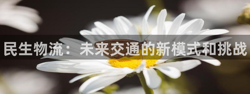 多多28p扣除是什么意思：民生物流：