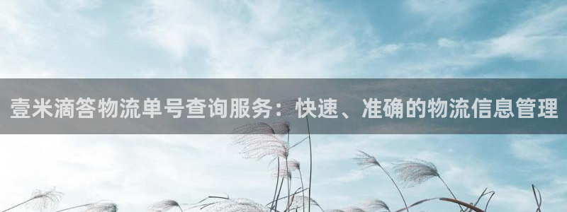 多多28退款教程：壹米滴答物流单号查