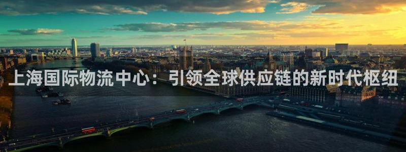 多多28官网网站：上海国际物流中心：