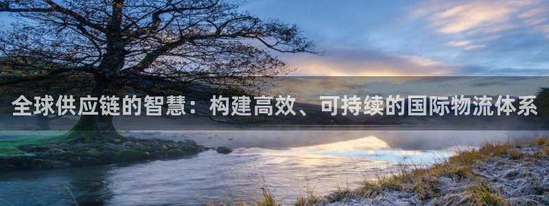 多多28注册入口与教程：全球供应链的