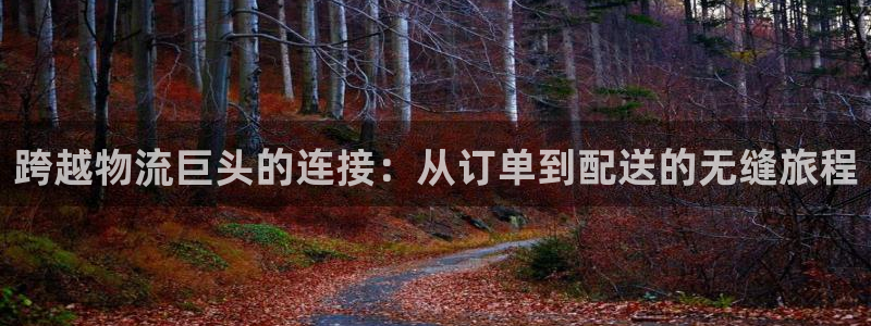 多多28提现未达5期是什么意思