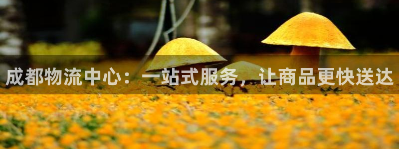 多多28客服电话：成都物流中心：一站