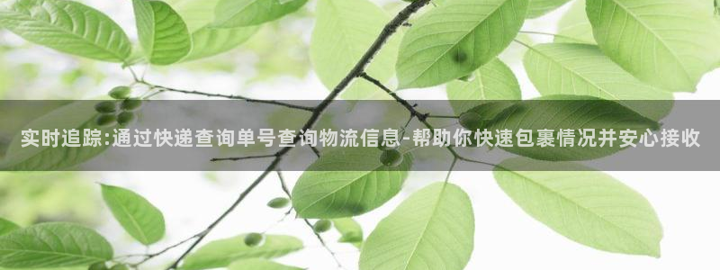 多多28黑款：实时追踪:通过快递查询单号查询物流信息-帮助你