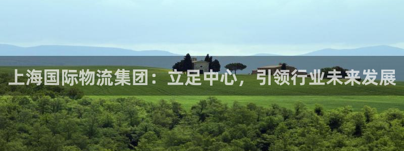 多多28官方网站：上海国际物流集团：
