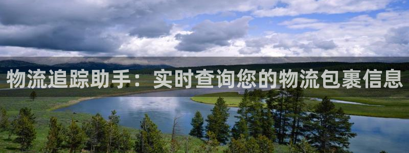 多多28怎么申请代理：物流追踪助手：