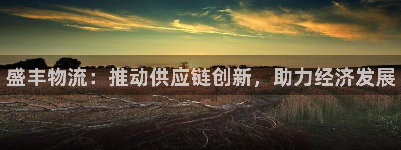 加拿大多多28是什么：盛丰物流：推动