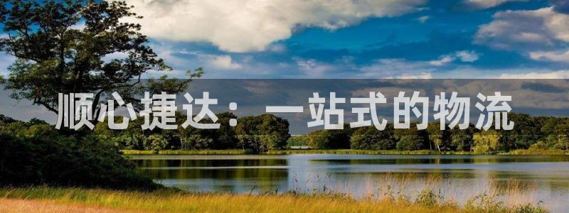 多多28软件总是闪退怎么回事：顺心捷