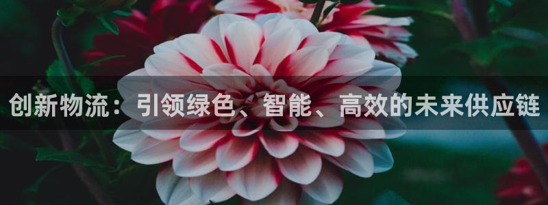 加拿大多多28数字规则：创新物流：引领绿色、智能、高效的未来